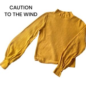 Caution to the wind Fitted, long sleeve mock neck top with peasant sleeves
